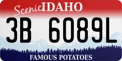 ID license plate 3B6089L
