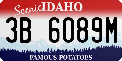 ID license plate 3B6089M