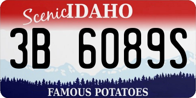 ID license plate 3B6089S