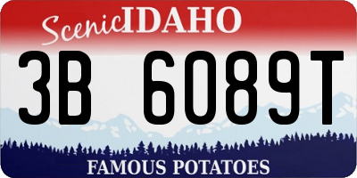 ID license plate 3B6089T