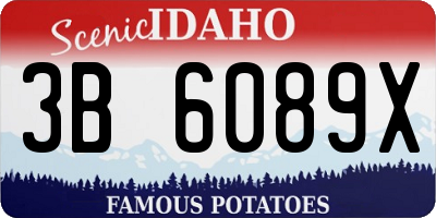 ID license plate 3B6089X
