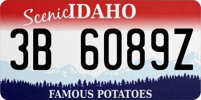 ID license plate 3B6089Z