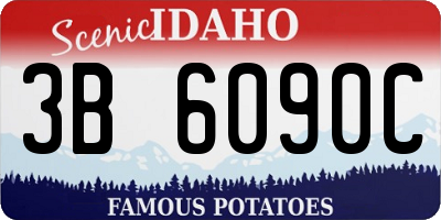 ID license plate 3B6090C