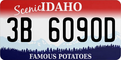ID license plate 3B6090D