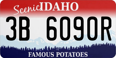 ID license plate 3B6090R