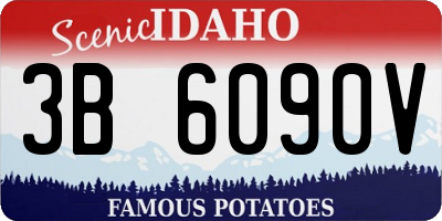 ID license plate 3B6090V