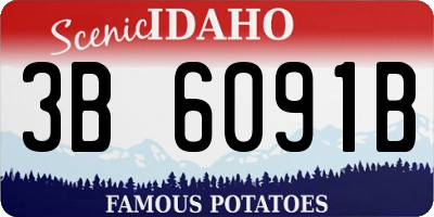 ID license plate 3B6091B