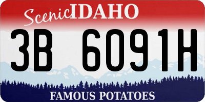 ID license plate 3B6091H