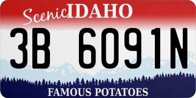 ID license plate 3B6091N