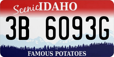 ID license plate 3B6093G