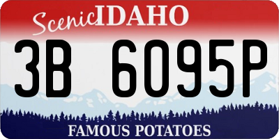 ID license plate 3B6095P