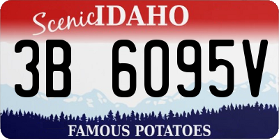 ID license plate 3B6095V