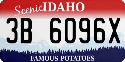 ID license plate 3B6096X