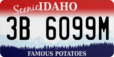 ID license plate 3B6099M