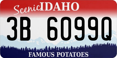 ID license plate 3B6099Q