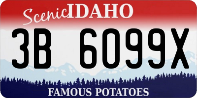 ID license plate 3B6099X