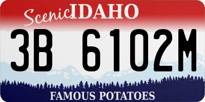 ID license plate 3B6102M