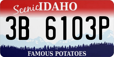 ID license plate 3B6103P