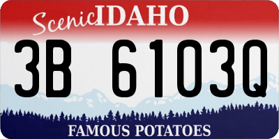 ID license plate 3B6103Q