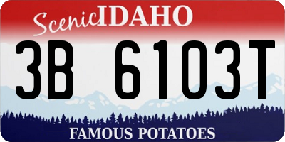 ID license plate 3B6103T