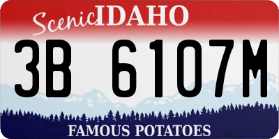 ID license plate 3B6107M