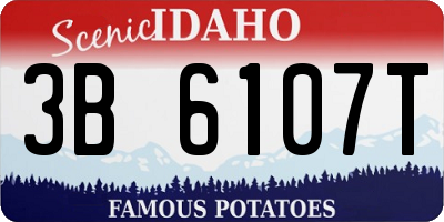 ID license plate 3B6107T