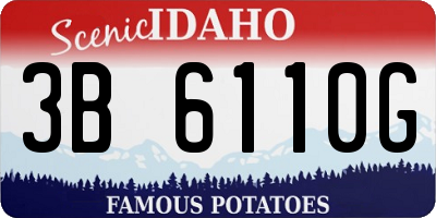 ID license plate 3B6110G