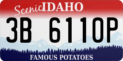 ID license plate 3B6110P