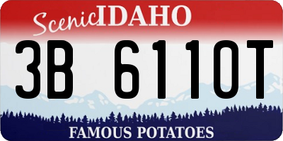 ID license plate 3B6110T