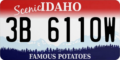 ID license plate 3B6110W