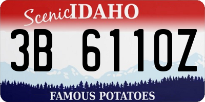 ID license plate 3B6110Z