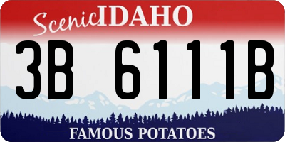 ID license plate 3B6111B
