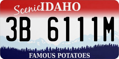 ID license plate 3B6111M