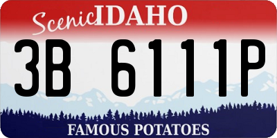 ID license plate 3B6111P