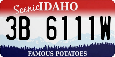 ID license plate 3B6111W