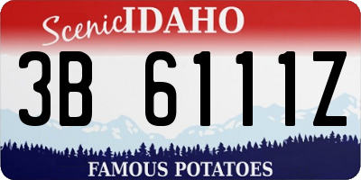 ID license plate 3B6111Z