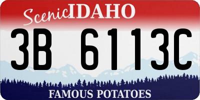 ID license plate 3B6113C