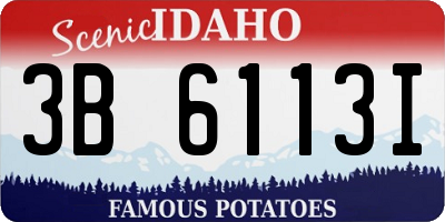 ID license plate 3B6113I