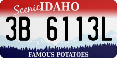ID license plate 3B6113L