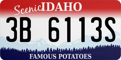ID license plate 3B6113S