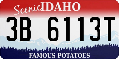 ID license plate 3B6113T