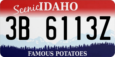 ID license plate 3B6113Z