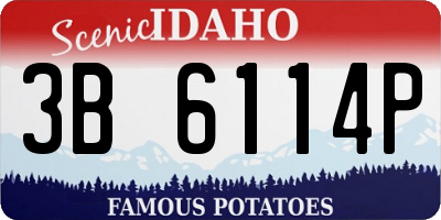 ID license plate 3B6114P