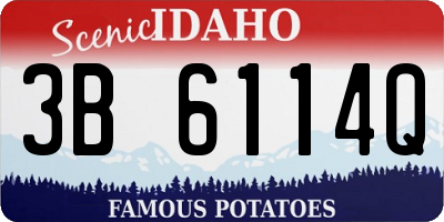 ID license plate 3B6114Q