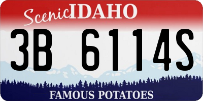 ID license plate 3B6114S
