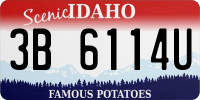 ID license plate 3B6114U