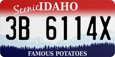 ID license plate 3B6114X