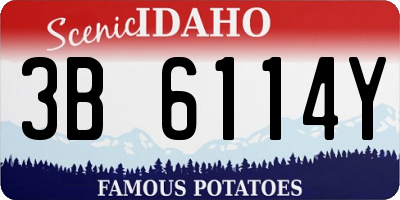 ID license plate 3B6114Y