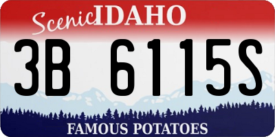 ID license plate 3B6115S