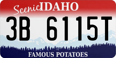 ID license plate 3B6115T